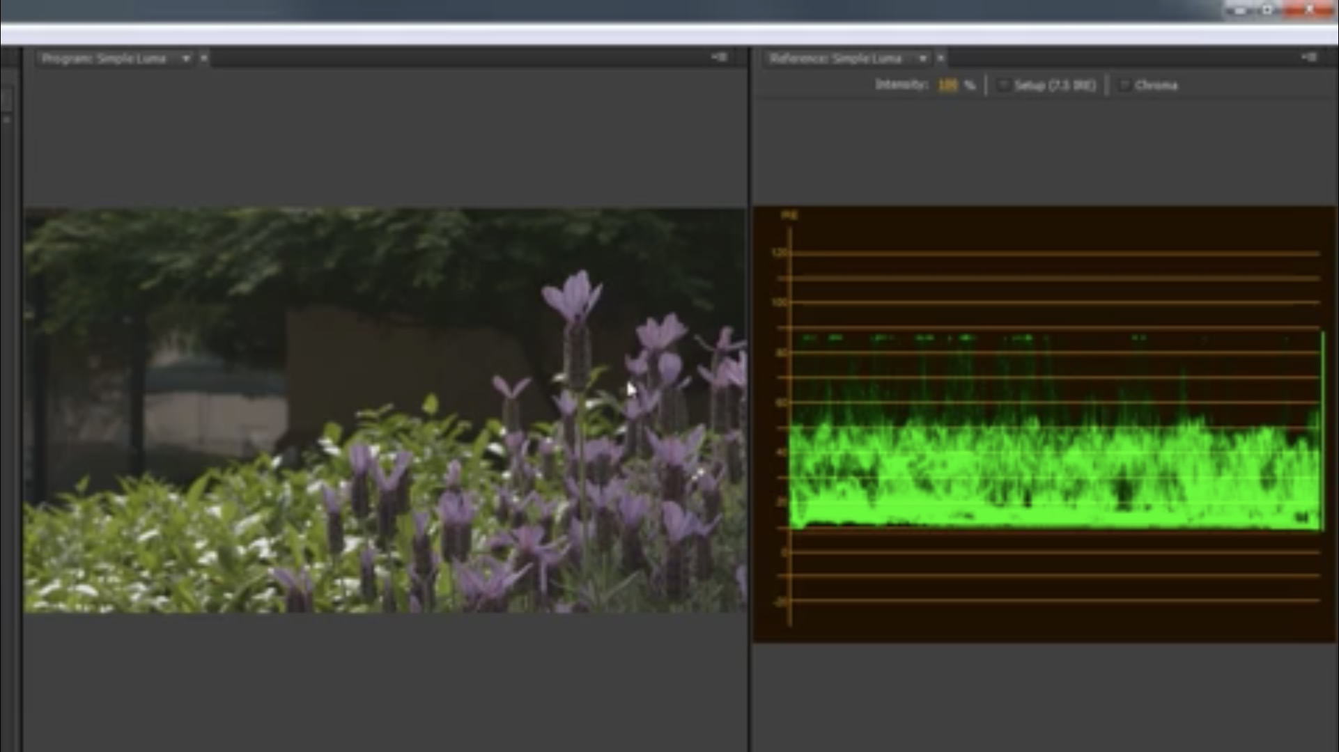 Levels Controls for Luma Corrections