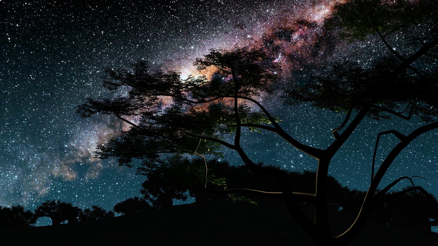 What can event videographers do to make money during COVID19 Videomaker