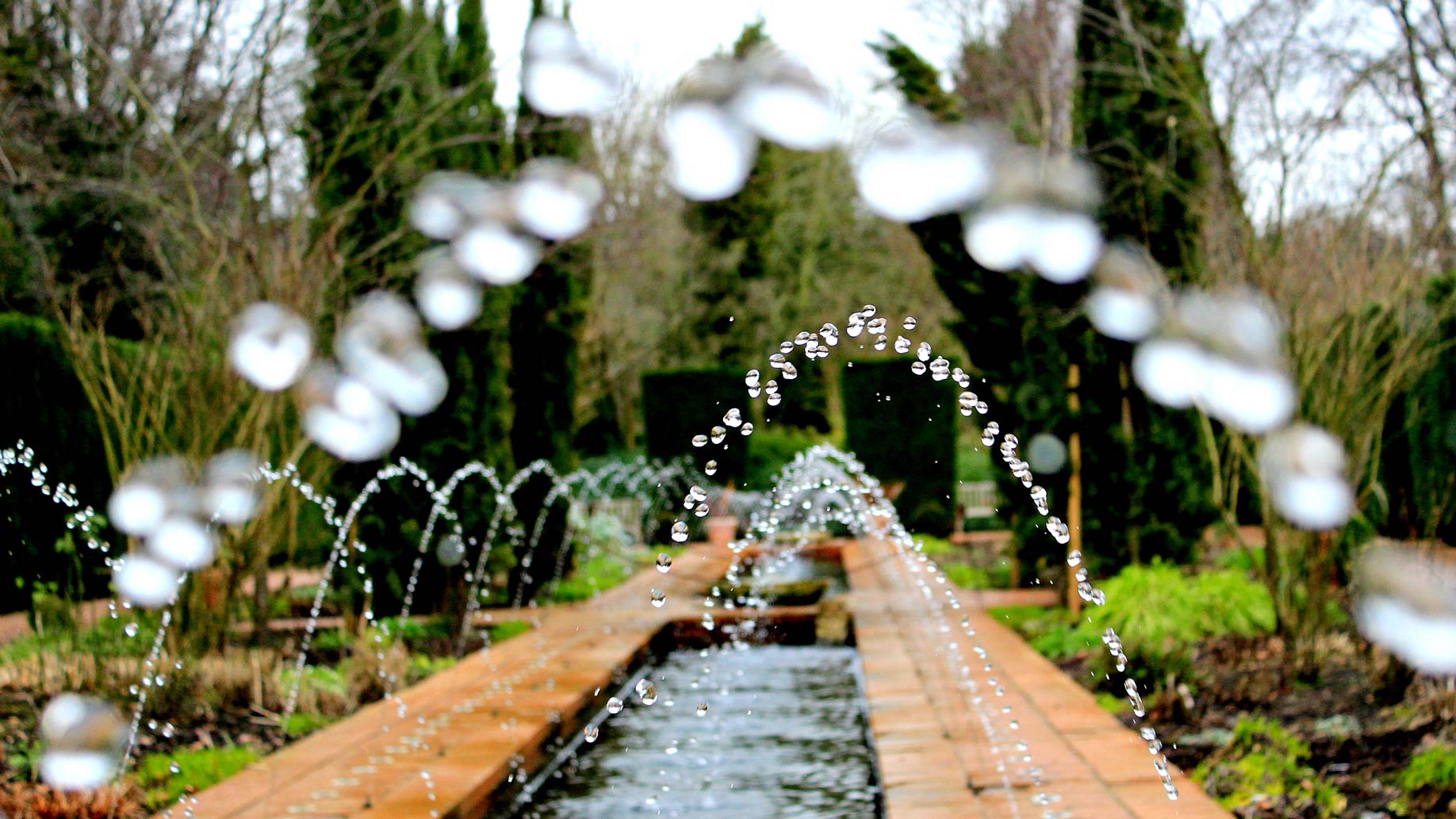 Camera Movements The Orbit or Arc Videomaker