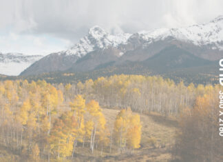 Do you really need your camera to capture DCI 4K? Do You Need Your Camera to Capture DCI 4K? featured image