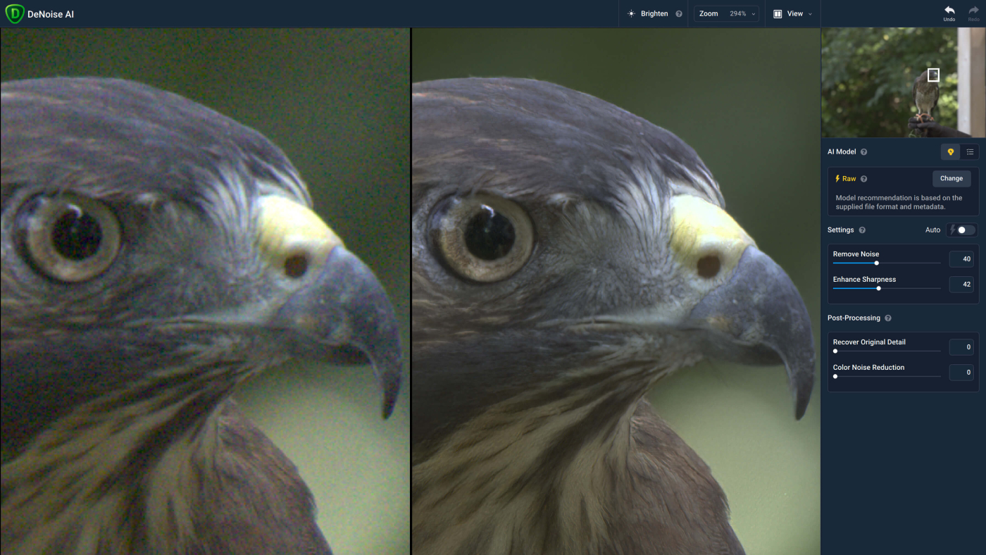 Topaz Labs AI