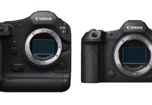 Canon EOS R1 and EOS R5 Mark II