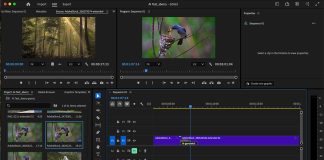 Adobe Generative Extend tool