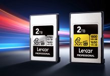 2TB Lexar Professional Silver and Gold CFexpress 4.0 Type A cards