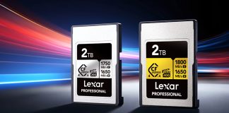 2TB Lexar Professional Silver and Gold CFexpress 4.0 Type A cards
