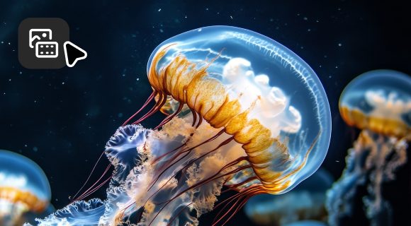 AI Studio makes Adobe Stock more than just a video stock library