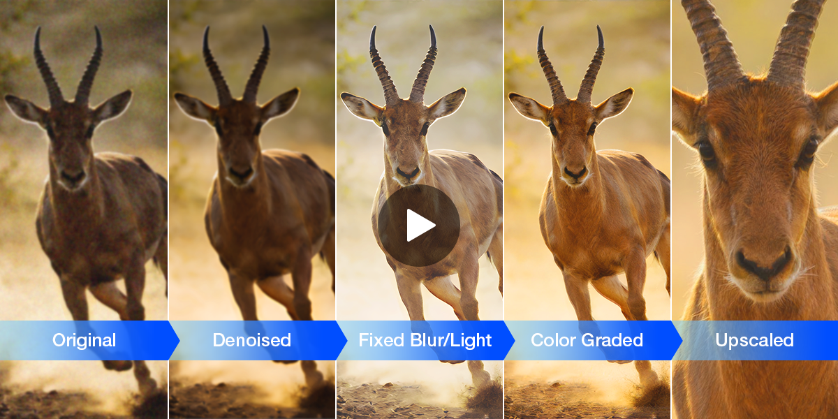 AI video enhancement market shifts as dedicated tools challenge editing suites