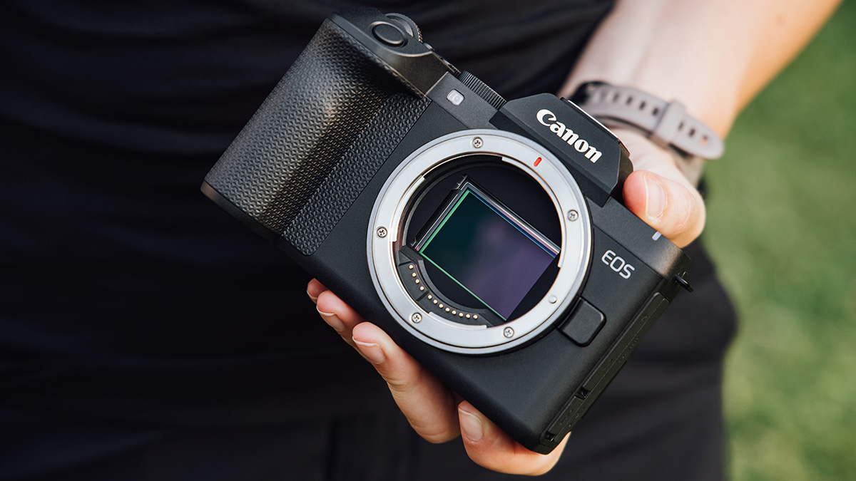 Canon EOS R8 Mark II