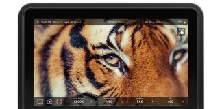 Atomos Shinobi 7 II