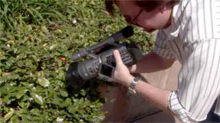 Macro Videography: The Art of the Extreme Close-Up - Videomaker